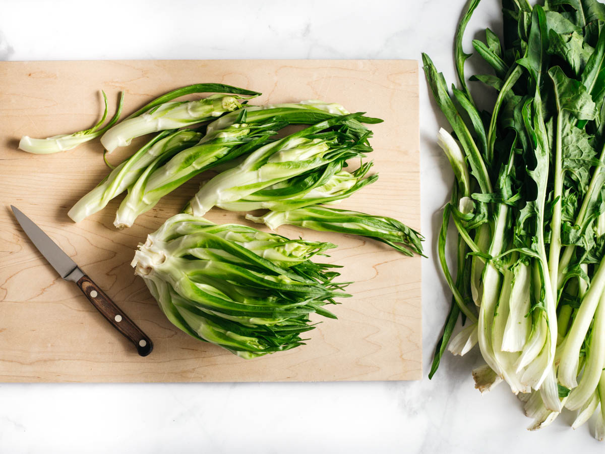 What to Do with Puntarelle: Puntarelle alla Romana